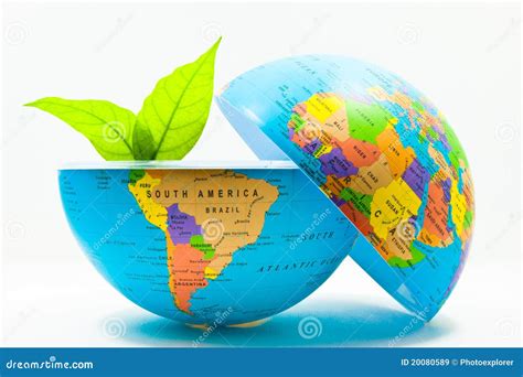 Colorful World 的图像结果