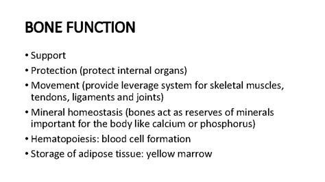 Image result for Bone Function