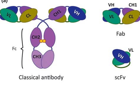 protein expression services - GeNext Genomics