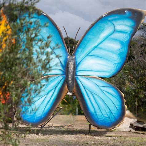 VOALÁ MARIPOSARIO Y ORQUIDEARIO (2026) All You Need to Know BEFORE You ...