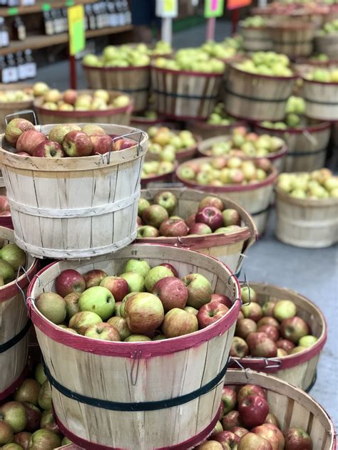 Bushels of Apples | Fall Orchard Trip