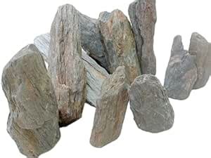 Buy RUKDA® Natural Petrified Wood – Fossil Wood Decorative Stones ...