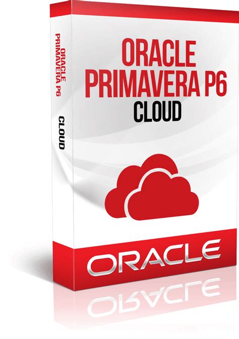 Image result for Oracle Primavera P6 Software Invoice