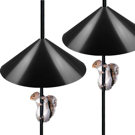 Image result for Squirrel Protector