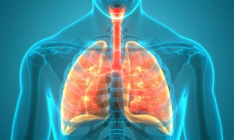 Combo therapy of elexacaftor, tezacaftor, and ivacaftor improves ...