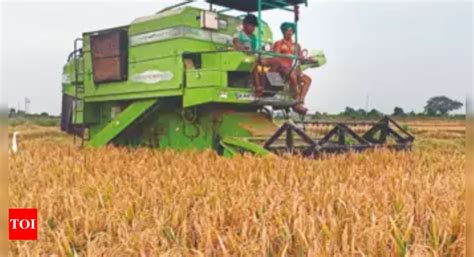 Paddy procurement scam: Crop shown to have ‘grown’ on land that was ...