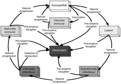 Epidemiology and Scenario Simulations of the Middle East Respiratory ...