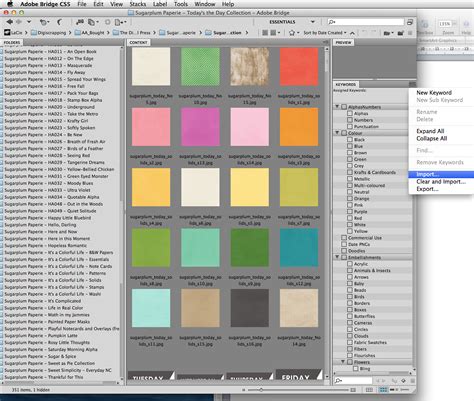 Image result for Adobe Bridge CS6 Tutorials