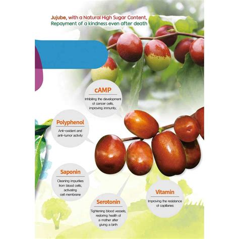 Buy Kim Hong Bok Boeun Korean Dried Jujube Red Dates, Whole Fruit, No ...