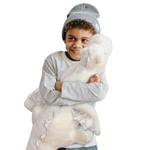 Buy Pterosaur Stuffed Animal with Wings - Cute Soft Dinosaurs Plush ...