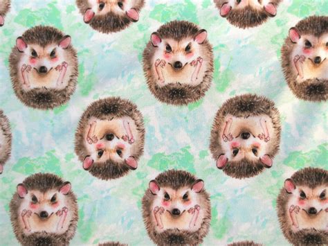 Jersey Igel - Hintergrund in Aquarell-Technik - eingerollte Igel | 16 ...
