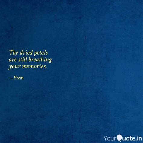 The dried petals are sti... | Quotes & Writings by Prem | YourQuote