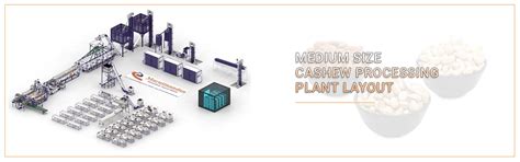Cashew Processing Plant, Cashew Processing Machine Manufacturers ...