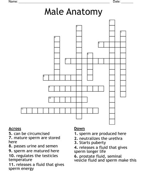 Male Offspring In Munich Crossword - prntbl.concejomunicipaldechinu.gov.co