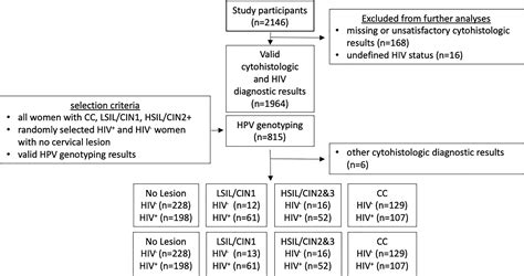 Frontiers | HPV Type Distribution in HIV Positive and Negative Women ...