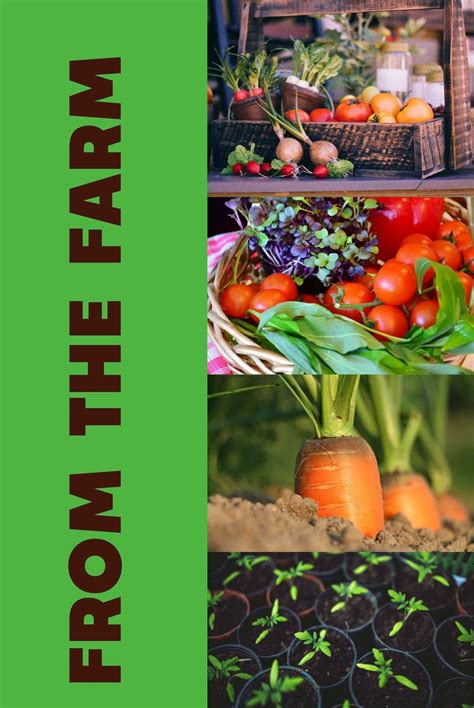 Local Food Movement 的图像结果