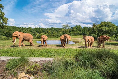 North Carolina Zoo