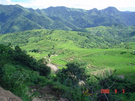 THE BEST Restaurants in Assam (Updated December 2025)