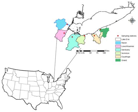 Characterization of Temporal and Spatial Variability of Phosphorus ...