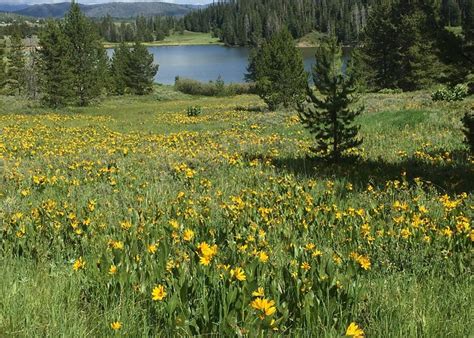 Clark Tourism (2022): Best of Clark, CO - Tripadvisor