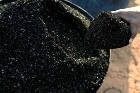 Coal India To Reportedly Import Fuel For The First Time In 7 Years As ...