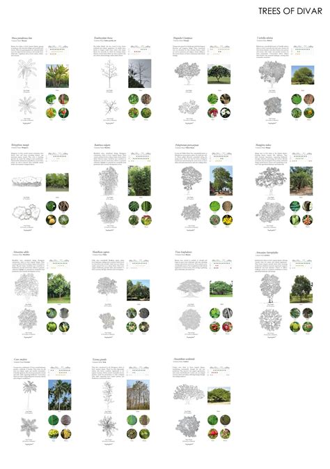 Residence in Divar Island, Goa | CEPT - Portfolio