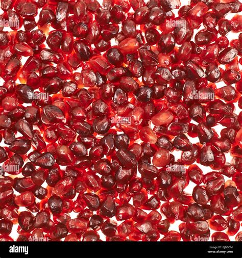 Surface covered with pomegranate seeds Stock Photo - Alamy