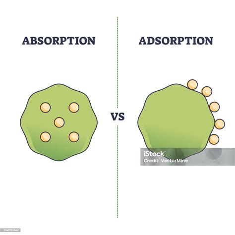 Absorption Vs Adsorption Differences On Molecular Surface Outline ...
