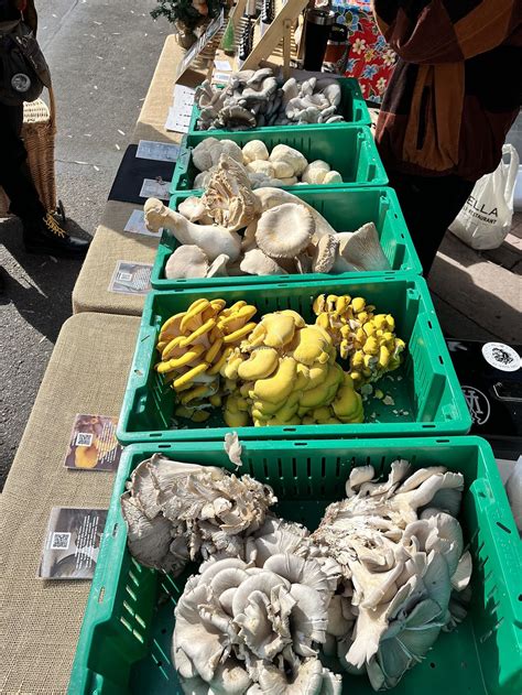BYO Long Beach - Farmers Market - Long Beach California Market Vendor ...