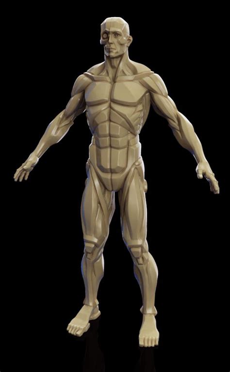 Image result for Reveal Process Python