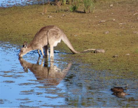 Mathematical Matrix 的图像结果