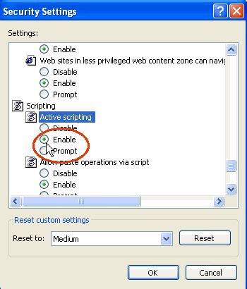 Image result for Enable Scripts