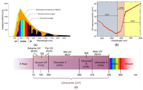 Ultraviolet Photodetectors: From Photocathodes to Low-Dimensional Solids