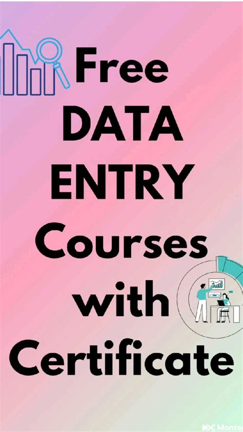 Data Entry Testing Free 的图像结果