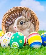 Image result for Cute Picture of an Easter Bunny Standing Up