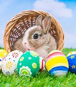 Image result for Small Easter Bunnies