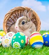 Image result for Message From the Easter Bunny