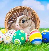 Image result for Easter Bunnies and Eggs Images Stock Photos
