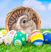 Image result for Easter Bunny Is On His Way