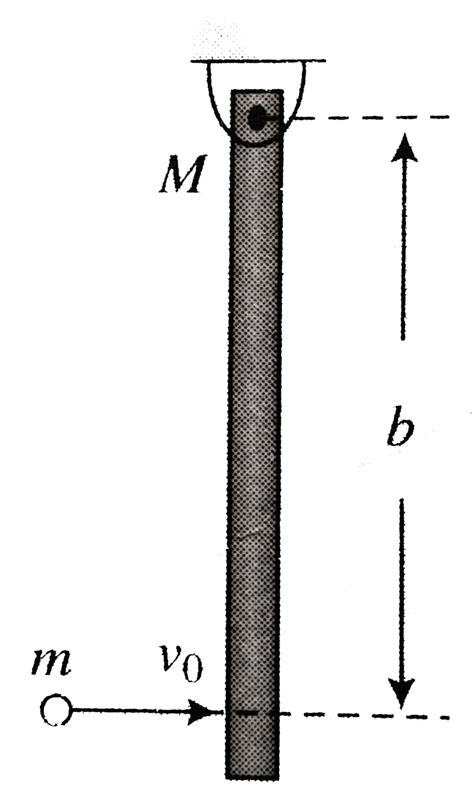 A ball of mass `m` collides elastically with a smooth hanging rod of ...