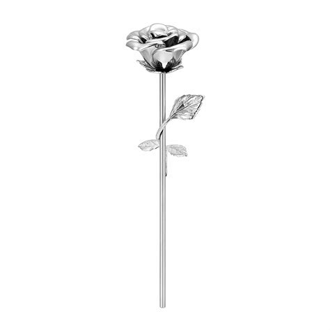 Imrsanl Long-Stem Colorful Rose Keepsake Urn for Human Ashes India | Ubuy