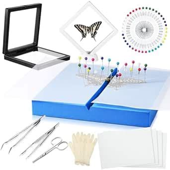 DoubleFill Insect Specimen Tools Kit Butterfly Specimen for Classroom ...