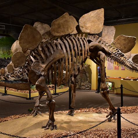 GLENDIVE DINOSAUR & FOSSIL MUSEUM (2025) All You Need to Know BEFORE ...