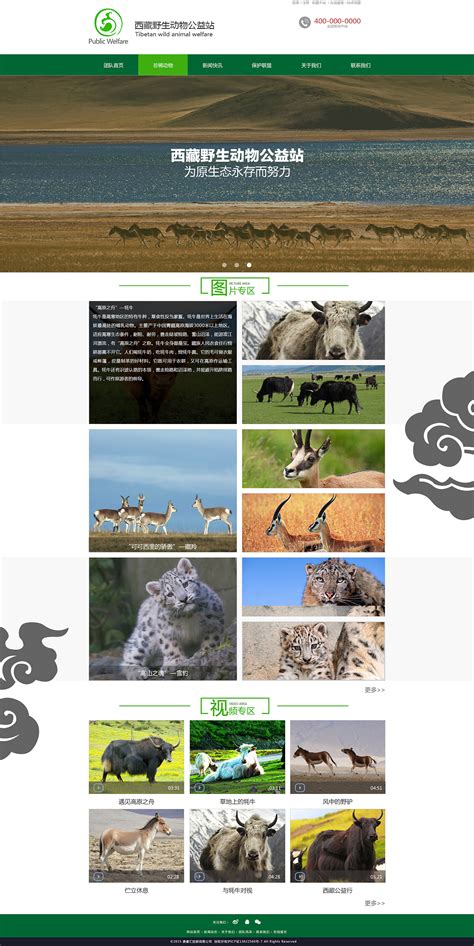 原创网站 西藏动物保护|网页|企业官网|燕传真Irene - 原创作品 - 站酷 (ZCOOL)