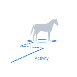 Animal Monitoring with Computer Vision – Case Study