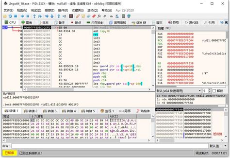 X64dbg Tutorial 的图像结果
