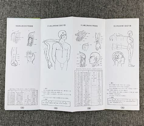 《团购：针灸经穴实用宝典+人体肌肉神经解剖标准挂图(共3张)》 - 淘书团