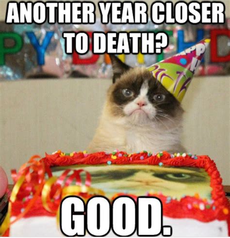 Cat Birthday Jokes