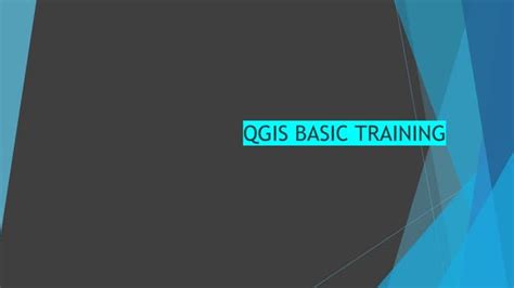 Basics QGIS 的图像结果