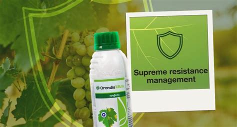 Orondis® Ultra | Syngenta
